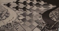 /album/fotogaleria-abstractos/pajaros-negros-y-blancos-jpg/